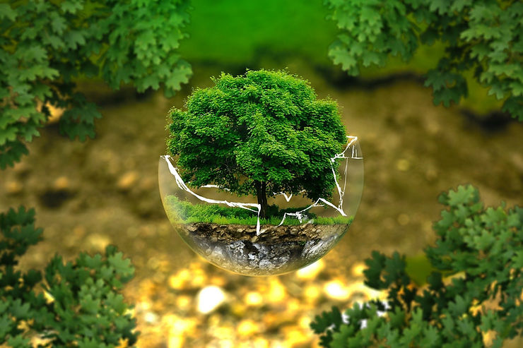 ESG: A sigla capaz de transformar sua empresa